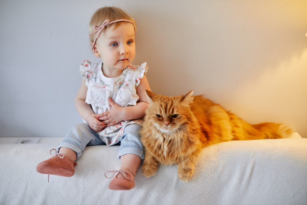 zaproszenie na sesje fotograficzną w Tarnowie, bon na sesje forograficzna. Szukasz bonu na sesje fotograficzną ?
tu kupisz bon na dowolną wybraną przez Ciebie sesje fotograficzną w Tarnowie